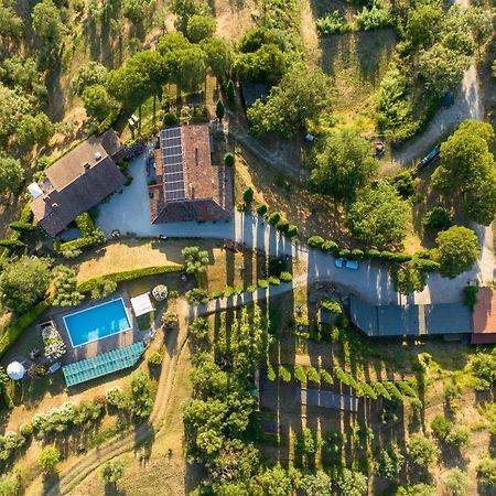 شقة Residenza Cerreto-Casalini بانيكالي المظهر الخارجي الصورة